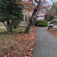 秋です。神戸女学院大学構内にて